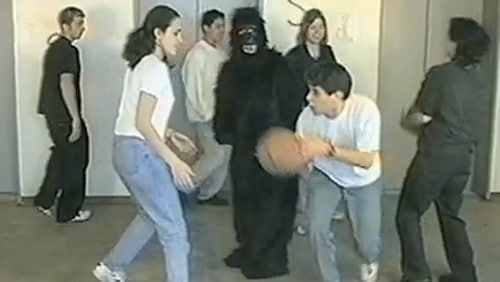 Cognitive biases and distraction had these students miss the 200-pound gorilla right in front of them. Don't make their mistake.