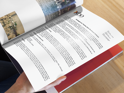 strategies for agile testing